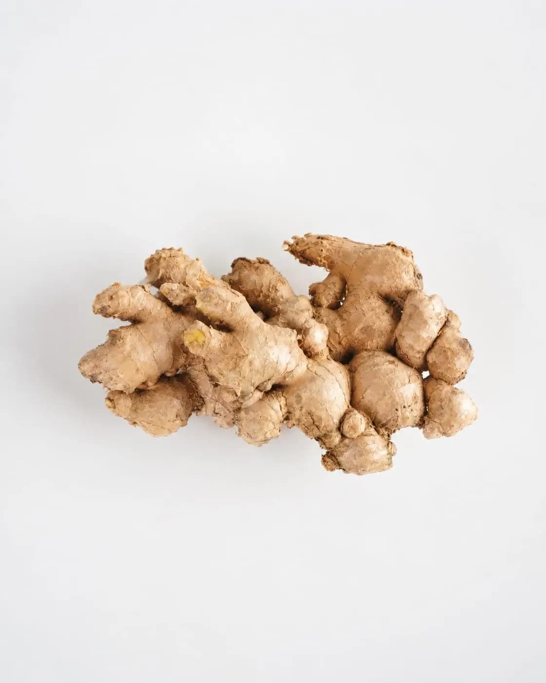 Grade B Jahe Gajah rhizome photographed on a plain ground